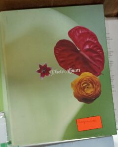 Выпускники