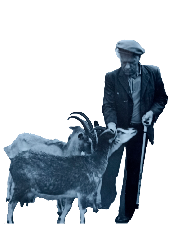 Русаков-и-козы-для-аватарки